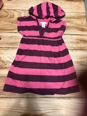 Old Navy Hooded Striped Dress in Pink and Brown